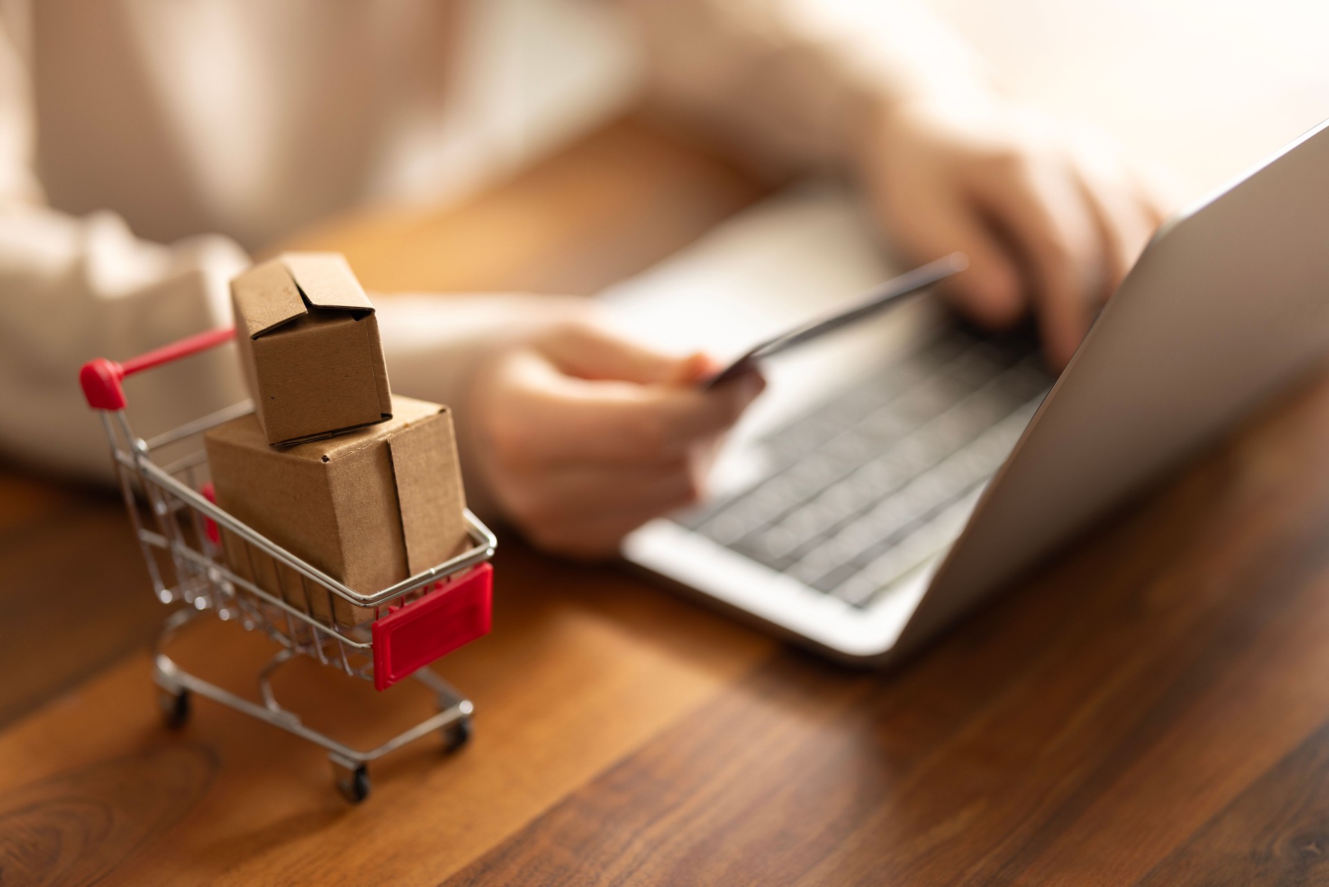 Young woman online shopping using the laptop at home